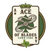 Ace of Blades